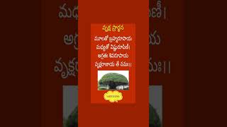 వృక్ష ప్రార్థన.. 🌳🙏 #devotional #sanatandharma #jaihind