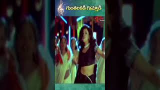 Gunthalakadi Gummadi Song | Cheppalani Vundi Movie | Vadde Naveen & Raasi #shorts #youtubeshorts