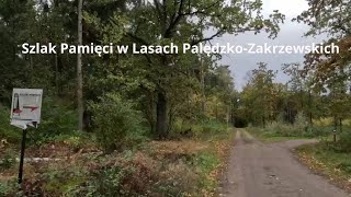 Lasy Palędzko-Zakrzewskie. Ciekawy Szlak Historyczny