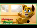 Alex Troca de Lugar | DreamWorks Madagascar em Português