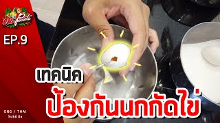 EP9.เทคนิคป้องกันนกกัดไข่ (How to solve birds bite egg)