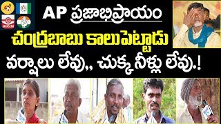 చంద్రబాబు కాలు పెట్టాడు వర్షాలు లేవు చుక్క నీళ్లు లేవు | AP Public Talk On Chandrababu | Survey 2019