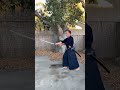 ryushin shouchi ryu kamae