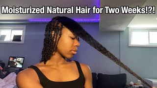 moisturized natural hair for two weeks?!? | l.o.c. method |