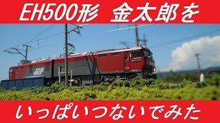 EH500形金太郎をいっぱいつないでみた【鉄道模型】