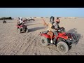 what can you expect on desert safari desert safari egypt full experience 40 minutes video