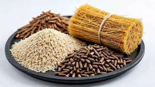 Future of Boilers – Green Energy & Biomass Options: English Version