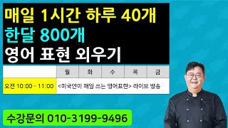 매일 1시간 하루 40개 한달 800개 영어표현 외우기