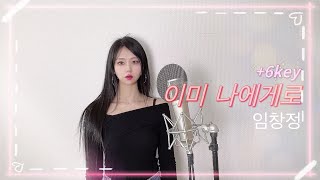 임창정 - 이미 나에게로 (+6key) Gracy Cover