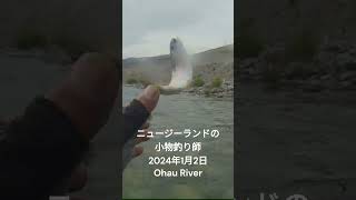 #ニュージーランドの小物釣り師 #Ohauriver #fishing #shots