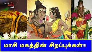 மாசி மகத்தின் சிறப்புக்கள்!! |Maasi Madham | Unique of Maasi Madham | Britain Tamil Bhakthi