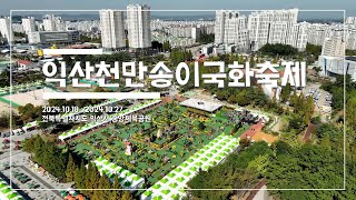 2024 익산 천만송이  국화축제 후기!