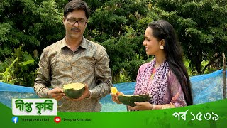 #DeeptoKrishi | EP - 1539 | বঙ্গবন্ধু শেখ মুজিবুর রহমান কৃষি বিশ্ববিদ্যালয়ে কৃষি গবেষণায় নতুন চমক!!