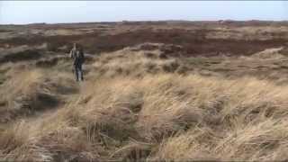 Terschelling, de Koegelwieck.