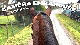 BALADE EMBARQUÉE SUR LUTTI ! (#cheval #poulain #balade)