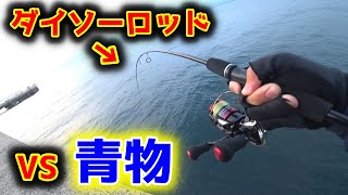 【ダイソー】その辺の堤防でジグサビキ投げたら大物だらけでヤバかった…