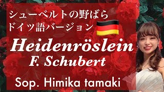 Heidenröslein - Schubert【シューベルト『野ばら』ドイツ語】Sop. Himika Tamaki