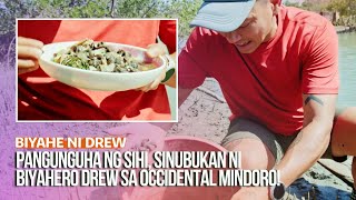 Pangunguha ng sihi, sinubukan ni Biyahero Drew sa Occidental Mindoro! | Biyahe ni Drew