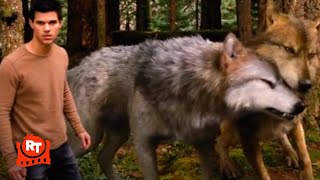The Twilight Saga: Breaking Dawn Part 2 (2012) - A Wolf Thing Scene | Movieclips