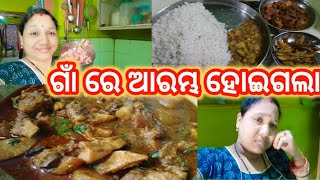 ଗାଆଁ ରେ ଆରମ୍ଭ ହୋଇଗଲା||ଗାଉଁଲି ଷ୍ଟାଇଲ ପରା||Berhampuria Vlog||@babitaallvlog