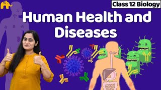 Human Health and Diseases Class 12 | Biology NCERT Chapter 7  One Shot | CBSE NEET