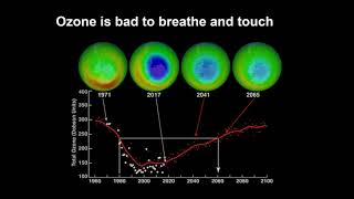 Stratospheric Ozone Destruction