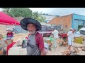 veja a feira das galinhas de arapiraca alagoas criaÇÕes no preÇo baixo 10 02 2025 nordeste