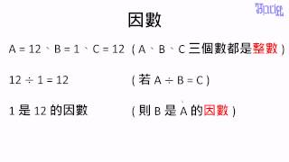 倍數與因數 - (23)什麼是因數1