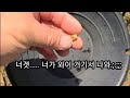 전천후장비 탐사방법/알금 포인트 꿀팁