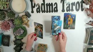 GEMINI ♊️ NO MORE, ENOUGH IS ENOUGH!Bonus Tarot Reading 💫🔮