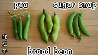 pea/broad bean/sugar snap Chinese Yunnan food【Sub】豌豆 蚕豆 甜豆 新鲜豆子 云南蔬菜