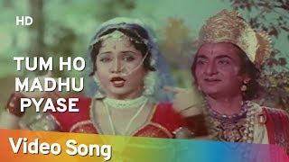 Tum Ho Madhu Pyase  | Har Har Gange (1979) | Sujata | Asha Bhosle Hit Songs