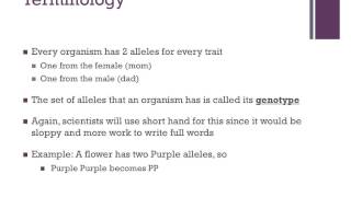 Genetics Terminology