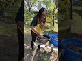 retired village mum planting kale seeds