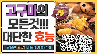 꿀같은 고구마의 모든것! (고구마의 효능과 부작용, 제철시기, 구입요령, 보관법, 손질법, 요리법, 음식궁합, 고구마에 관한 재미있는 사실)