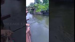 🎣 ഇങ്ങോട്ട് വാ എന്റെ മീനേ 😝fishing videos|mangrovejack|villagefishing|fishing|chemballi|VILLAGELIFE