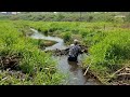 hard and dirty work manual beaver dam removal no.120