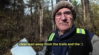 Safe Trees Cut Down in Stanley Park: The Rawlings Study (Short Version)