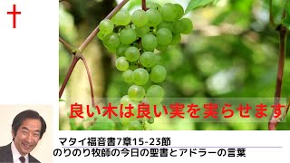 のりのり牧師の今日の聖書とアドラーの言葉0195　良い木は良い実を実らせます　■マタイ福音書7章15 23節