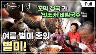 [Full] 한국기행 - 오지의 여름 제4부 남도의 뜨거운 맛