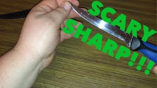 How To Make Your Cheap Fillet Knife Scary Sharp