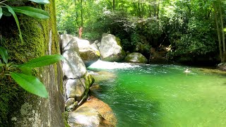 Midnight Hole: CLASSIC Southern Swimming Hole