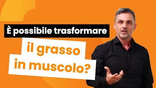 È possibile trasformare il grasso in muscolo?