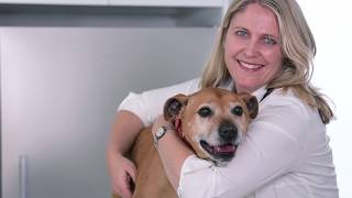 VetSupply –WHO WE ARE | Australia's Best Online Pet Store | Pet Supplies | Pet Care | Pet Food