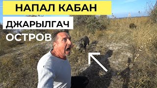 Остров Джарылгач. Напал дикий кабан. Супер Уха, рецепт(акула, кефаль, камбала, глось) 2серия