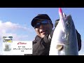 a huge catch for delivery to the owner exciting♪ yellowtail top game off the coast of lake haman...