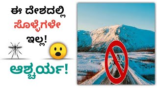 ಈ ದೇಶದಲ್ಲಿ ಸೊಳ್ಳೆಗಳೇ ಇಲ್ಲ! || The Country With No Mosqutioes || #mosquitoes #shorts #VK2Facts