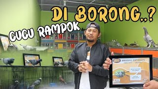 CUCU RAMPOK PERDANA GIRING LANGSUNG DI BORONG ORANG...!