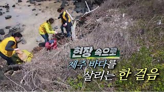 현장 속으로 '제주 바다를 살리는 한 걸음'[KBS 제주]