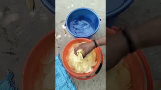 বাড়িতে আলুর চিপস বানানো! alur chips recipecooking #villfood#viral#shortfood #viralfood#tradiswad